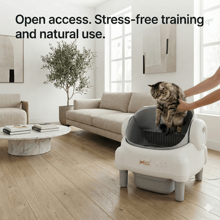 Ultimate Smart Pet Care Bundle (Litter Box + Mat + Feeder)