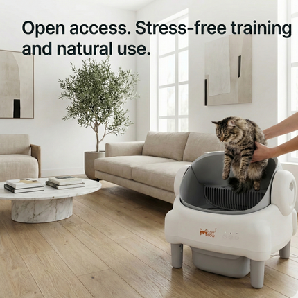 Mister Meow Smart Litter Box